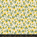 Verbena Roses Goldenrod RS6037 12 Ruby Star#1