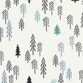 Loblolly Pine