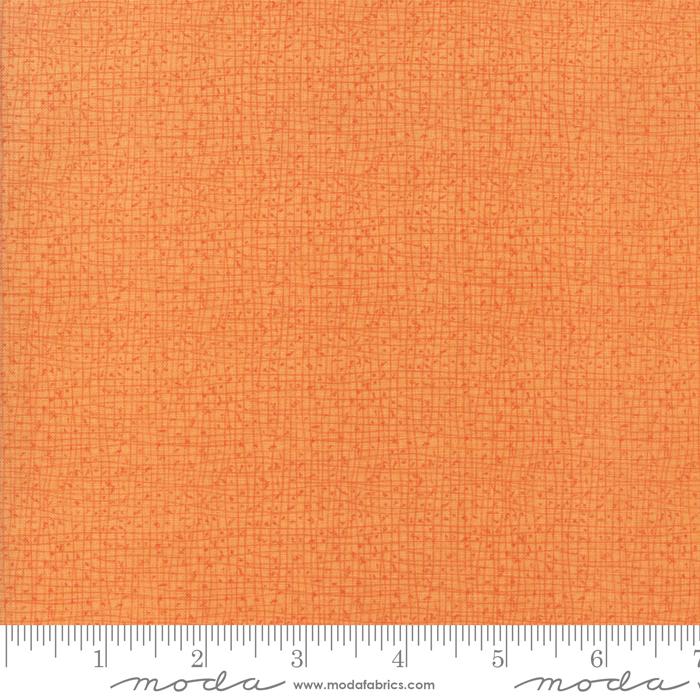 Abby Rose Citrus 48626 123 Moda #1