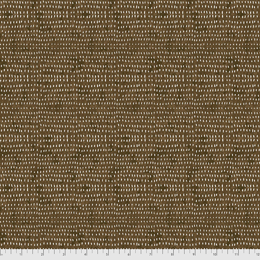 Cory Dantini Seeds - Cappuccino