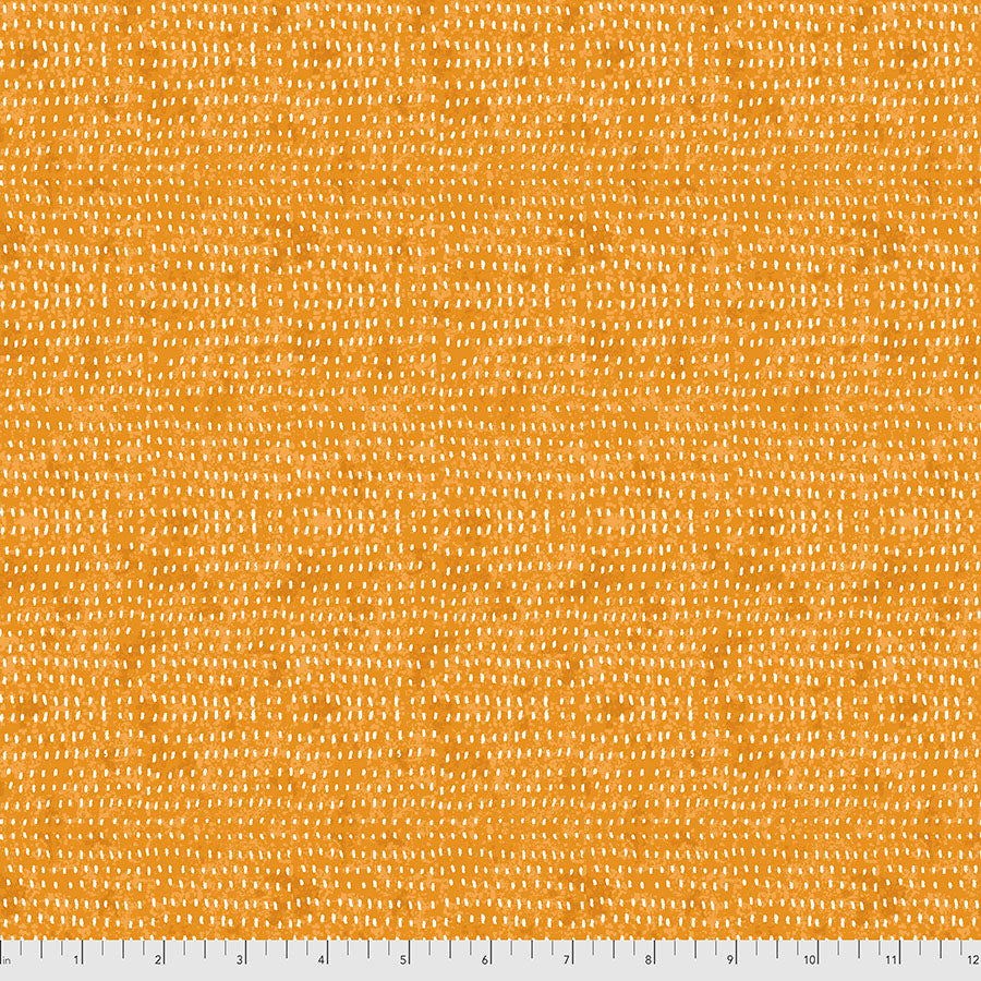 Cory Dantini Seeds - Tangerine