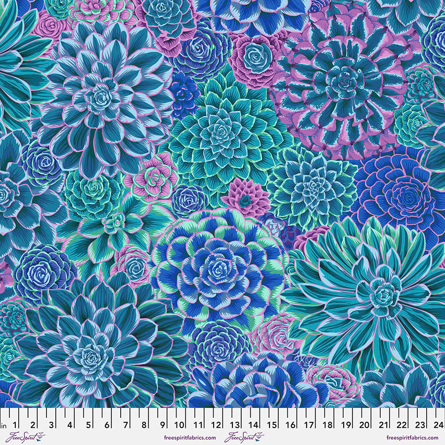 House Leeks - Blue
