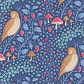 Sleepybird Denim