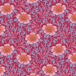 Winterrose Hibiscus